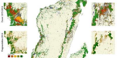 แผนที่ของมาดากัสกา deforestation
