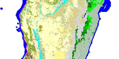 แผนที่ของมาดากัสกา vegetation